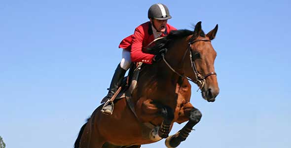 hôtel 3 étoiles proche du jumping international de Royan